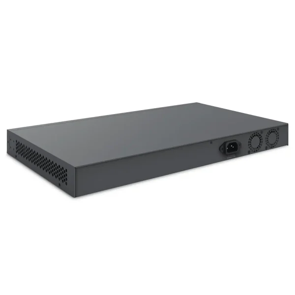 24 port switch